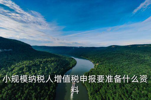 小規模納稅人增值稅申報要準備什么資料
