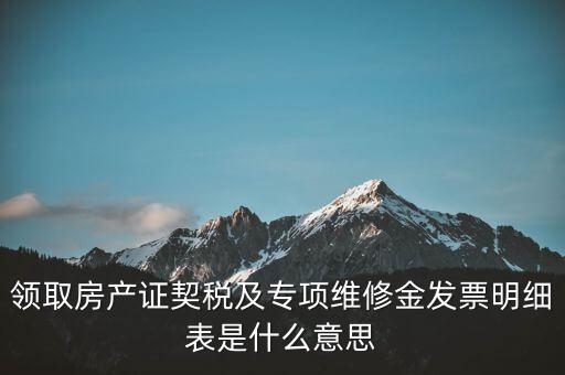 領(lǐng)取房產(chǎn)證契稅及專項維修金發(fā)票明細(xì)表是什么意思