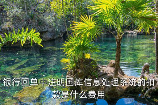 銀行回單中注明國庫信息處理系統的扣款是什么費用