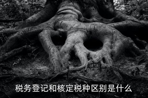 稅務登記和核定稅種區(qū)別是什么