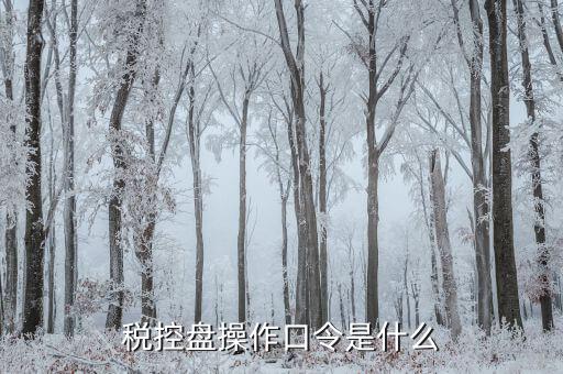 金稅盤開票密碼口令是什么意思，金稅盤清零后重新領取了發票開票口令是什么