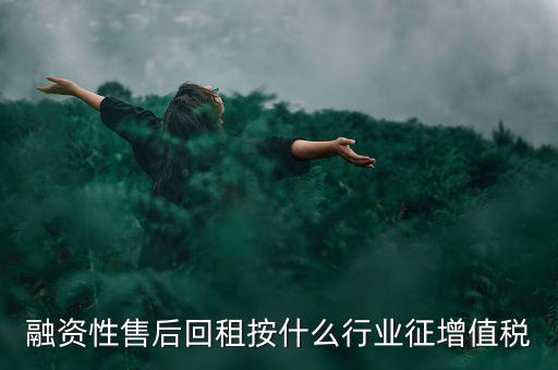 融資性售后回租按什么行業征增值稅