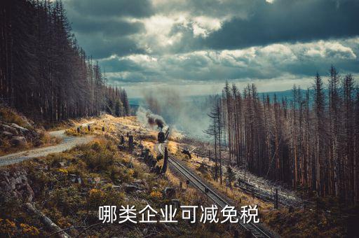 哪類企業可減免稅