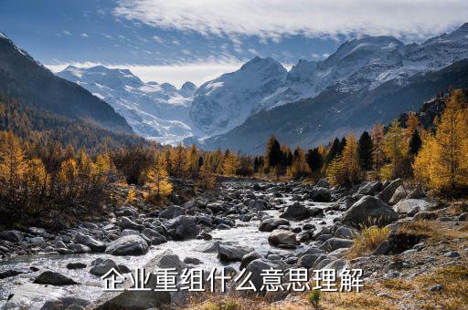 企業重組什么意思理解