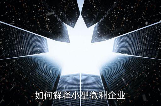 如何解釋小型微利企業