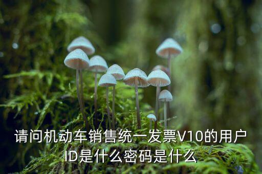 發(fā)票登錄密碼是什么，國(guó)稅局發(fā)票軟件里用戶代碼和密碼是什么