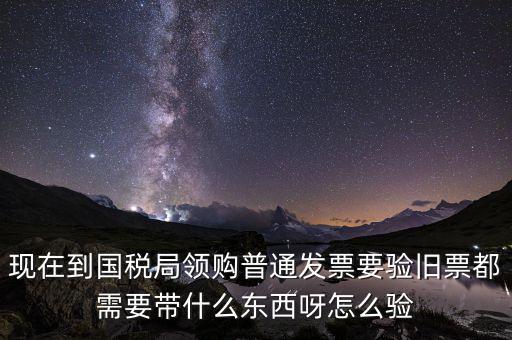 現在到國稅局領購普通發票要驗舊票都需要帶什么東西呀怎么驗