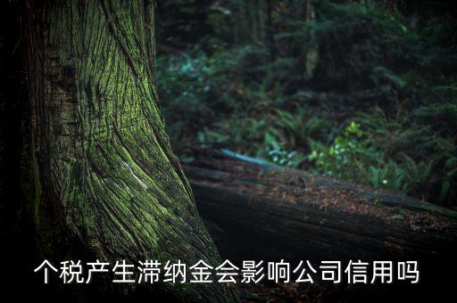 個稅產生滯納金會影響公司信用嗎