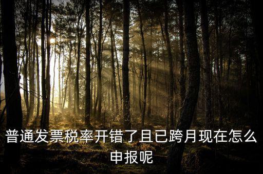 普通發票稅率開錯了且已跨月現在怎么申報呢