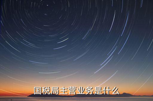 國稅局主營業務是什么