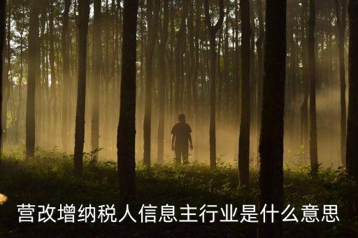 營改增納稅人信息主行業是什么意思