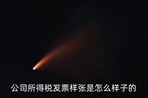 公司所得稅發票樣張是怎么樣子的
