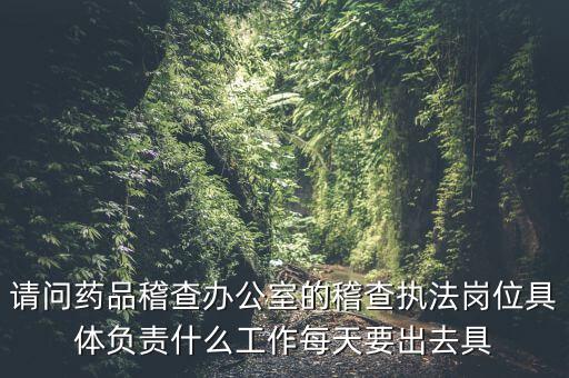 請問藥品稽查辦公室的稽查執法崗位具體負責什么工作每天要出去具