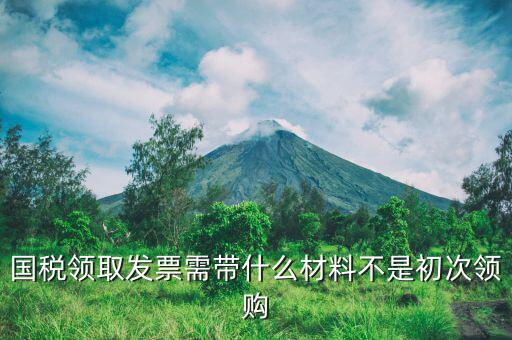 國稅領取發票需帶什么材料不是初次領購