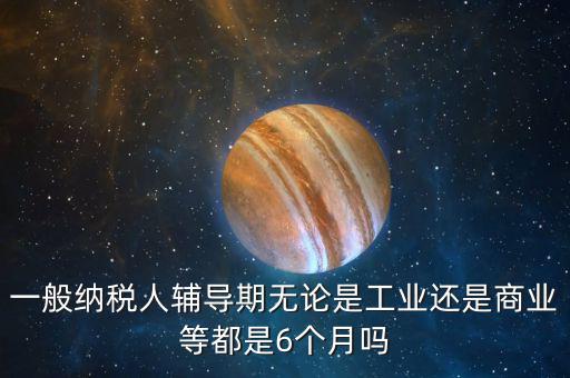 一般納稅人輔導期無論是工業還是商業等都是6個月嗎