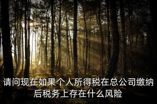 請問現在如果個人所得稅在總公司繳納后稅務上存在什么風險