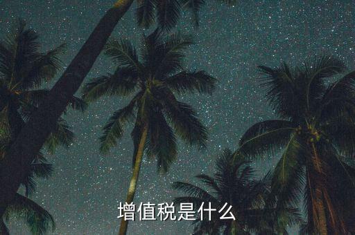 增值稅增值部分是什么，財務上增值部份是指什么如進項發票為10萬銷項發票為30萬兩項