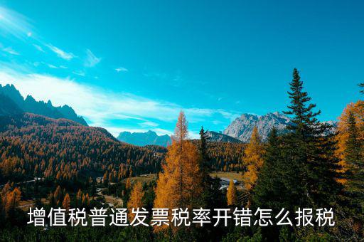 增值稅普通發票稅率開錯怎么報稅