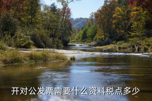 對公開票需要什么信息，公對公開發票 需要對方什么信息