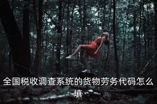 全國稅收調查系統的貨物勞務代碼怎么填