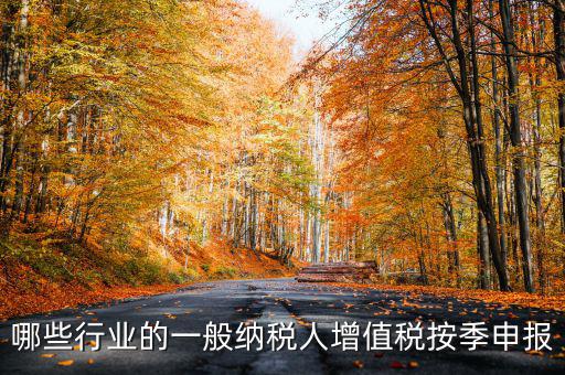 哪些行業的一般納稅人增值稅按季申報