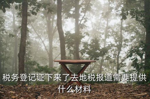 去地稅局報道需要什么手續，稅務登記證下來了去地稅報道需要提供什么材料
