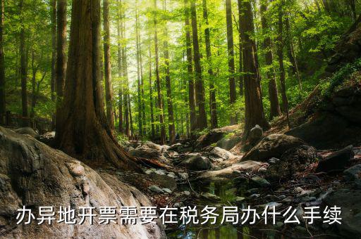 辦異地開票需要在稅務局辦什么手續