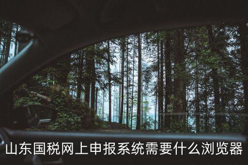 山東國稅網上申報系統需要什么瀏覽器