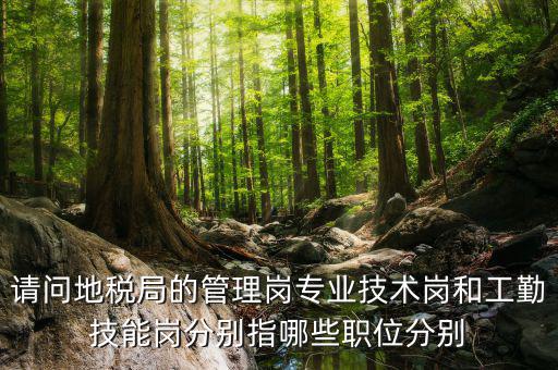 請問地稅局的管理崗專業技術崗和工勤技能崗分別指哪些職位分別