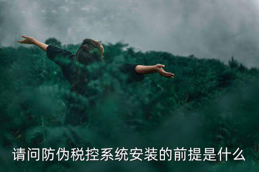 請問防偽稅控系統安裝的前提是什么