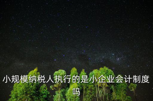 小規模納稅人什么制度，我國增值稅法對小規模納稅人實行什么法