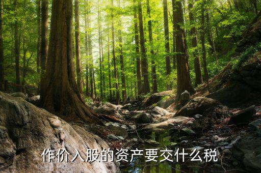 入股金繳納什么稅，作價入股的資產要交什么稅