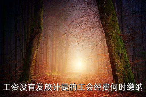 工會經費一般什么時候交，工資沒有發放計提的工會經費何時繳納