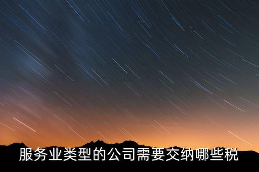 服務業類型的公司需要交納哪些稅
