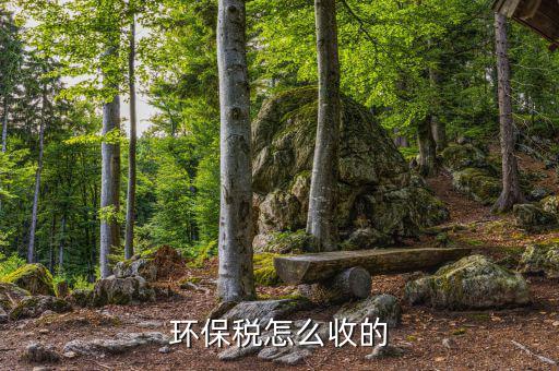 環保稅怎么收的