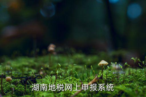 湖南省的地稅報稅軟件是什么，湖南地稅網上申報系統