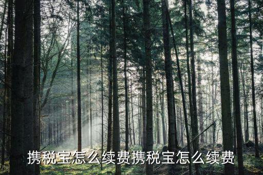 稅寶續(xù)費帶什么意思，攜稅寶續(xù)費后怎樣使用