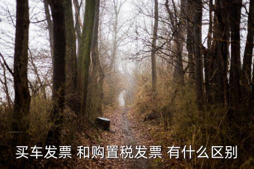 買車發票 和購置稅發票 有什么區別