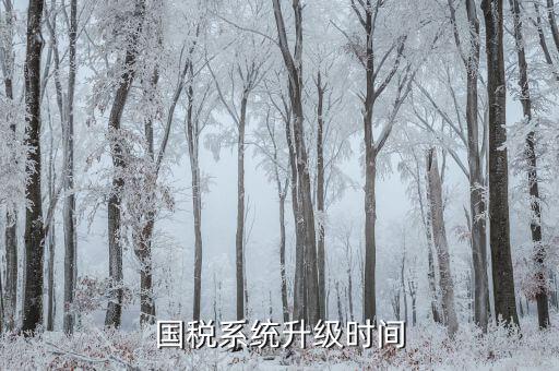 稅務系統什么時候更新的，深圳國稅系統什么時候換的