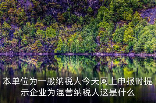 本單位為一般納稅人今天網上申報時提示企業為混營納稅人這是什么