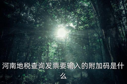 河南發票密碼是什么樣的，河南地稅查詢發票要輸入的附加碼是什么