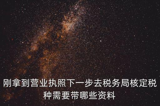 剛拿到營業執照下一步去稅務局核定稅種需要帶哪些資料