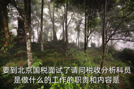 要到北京國稅面試了請問稅收分析科員是做什么的工作的職責和內容是