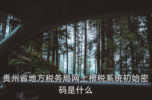 黑龍江電子稅務是什么，貴州省地方稅務局網(wǎng)上報稅系統(tǒng)初始密碼是什么