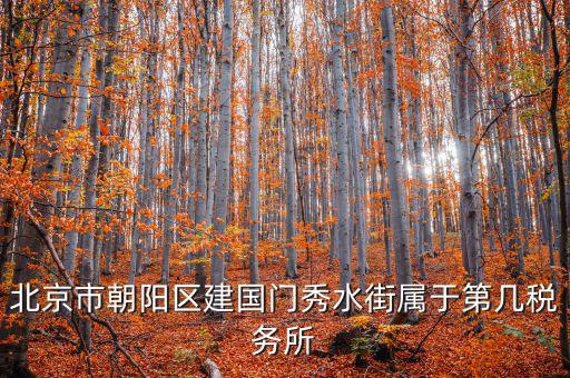 北京市朝陽區建國門秀水街屬于第幾稅務所