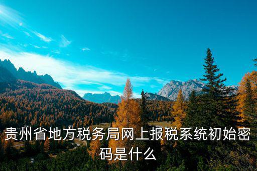 貴州省地方稅務局網上報稅系統初始密碼是什么