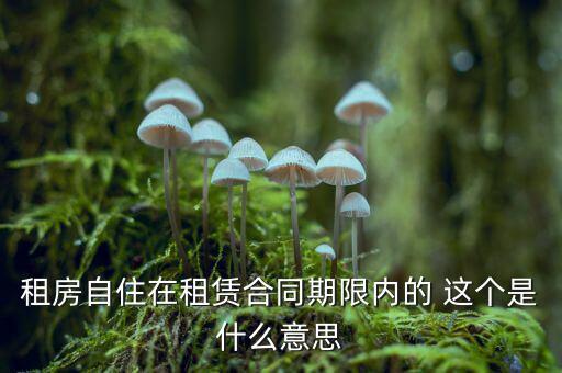 租房自住在租賃合同期限內的 這個是什么意思
