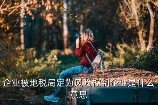 企業被地稅局定為風險控制企業是什么意思