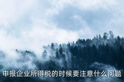 年度企業(yè)所得稅申報(bào)注意什么，申報(bào)企業(yè)所得稅的時(shí)候要注意什么問題