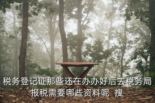 新辦企業(yè)稅務局需要什么資料，稅務登記證那些還在辦辦好后去稅務局報稅需要哪些資料呢  搜